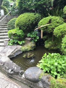 Small pond in Hokokuji Temple.