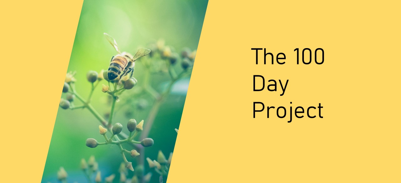 the 100 day project